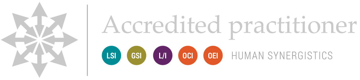 Scott Stein is an Accredited Practitioner of Human Synergistics