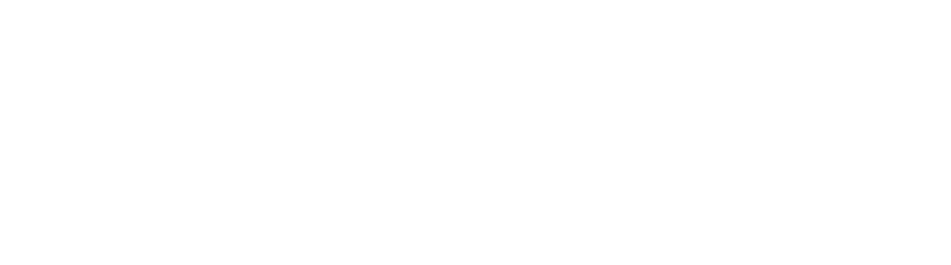 Scott Stein