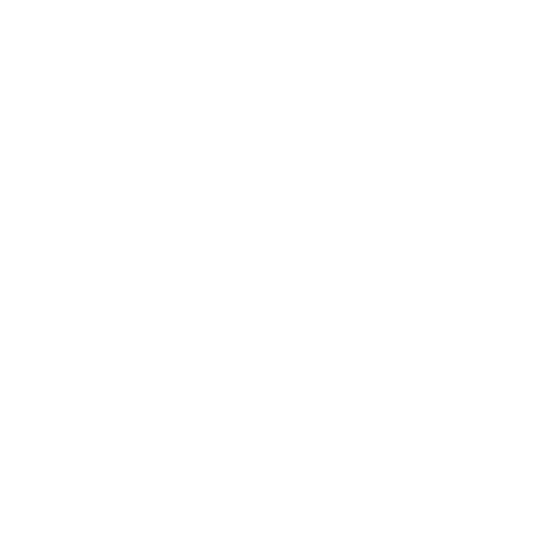 Business Mentoring with Scott Stein